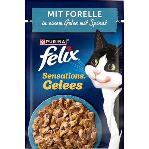  Sensations Gelees Forelle Spinat 26er 26x