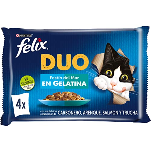 Felix Duo Nassfutter für ausgewachsene Katzen Gelee Sortiment Köhler Hering Lachs und Forelle 12 Packungen mit 4 Beuteln 85 g 48 Umschläge