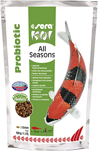 sera Koi All Seasons Probiotic 0 5 kg - Mit Bacillus subtilis für gesunde Starke Koi