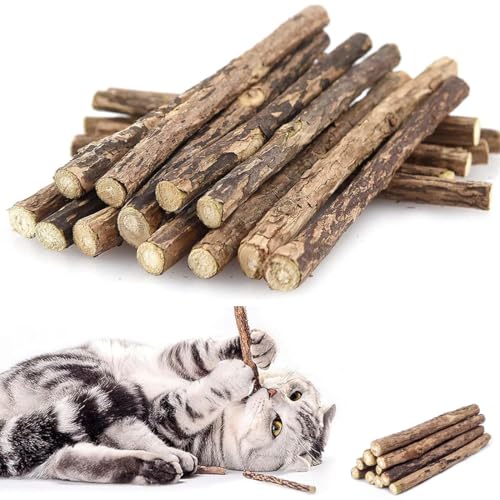  Selbstbeschäftigung 30 Stück Sticks Kauholz Für Gegen Mundgeruch Kauspielzeug Für Zahnpflege Gesunde Kaugewohnheiten