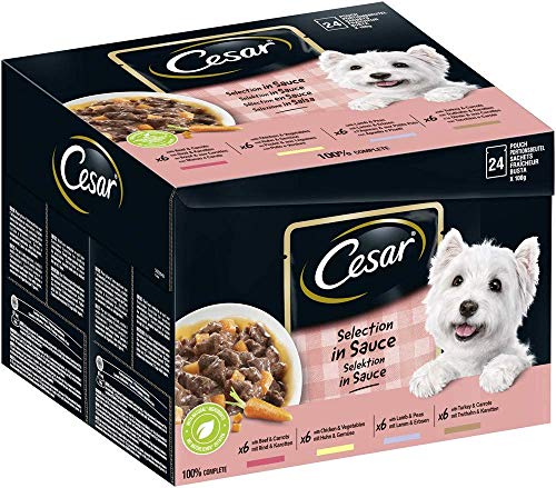 Cesar Favoriten in Sauce Huhn und Gemüse Ragout 24 Beutel 2400 g