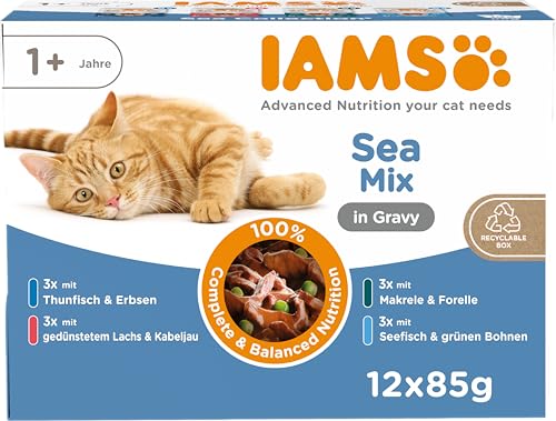  Delights Sea Collection Nass   Multipack mit Fisch Sorten Lachs Thunfisch Makrele Seefisch in Sauce für ab 1 Jahr 12x 85g