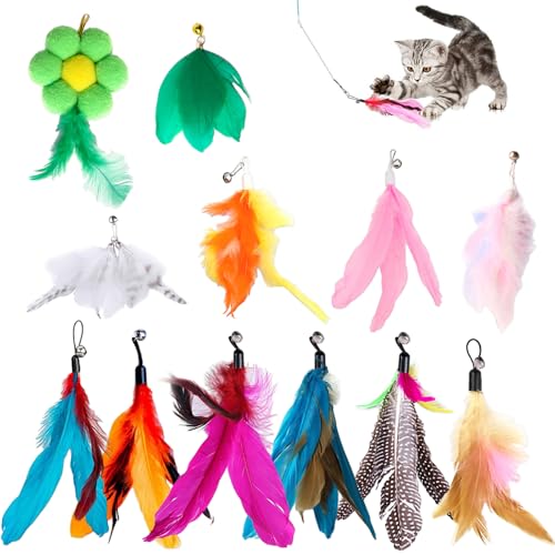 TFLPUO 12 Stück Interaktives Katzenspielzeug Katzenangel Feder Katzenspielzeug Angel Set Ersatzfedern Anhänger Bunte Katzen Spielzeug Cat Feather Toy für Kitten