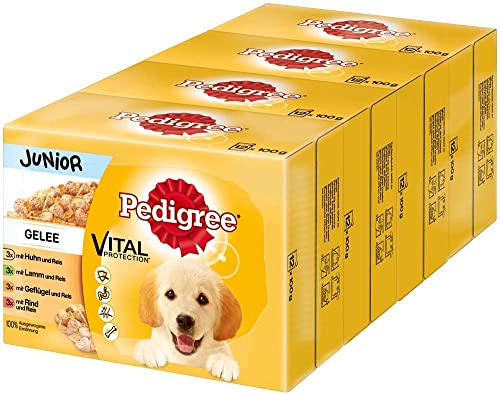  Junior Hundenassfutter Vital Protection Welpen 48 Portionsbeutel 12x100g 4er Pack Hundefutter nass 4 Varietäten Gelee Huhn Rind Geflügel Lamm