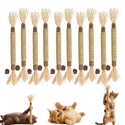 Silvervine Katzenminze-Spielzeug natürlicher Kaustab für Zahnpflege Zahnreinigung Katzenminze Leckerli-Spielzeug für Indoor-Katzen 10 Stück