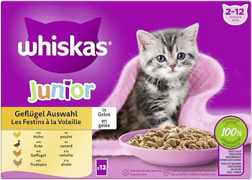  Junior Multipackügelauswahl 12x 85g