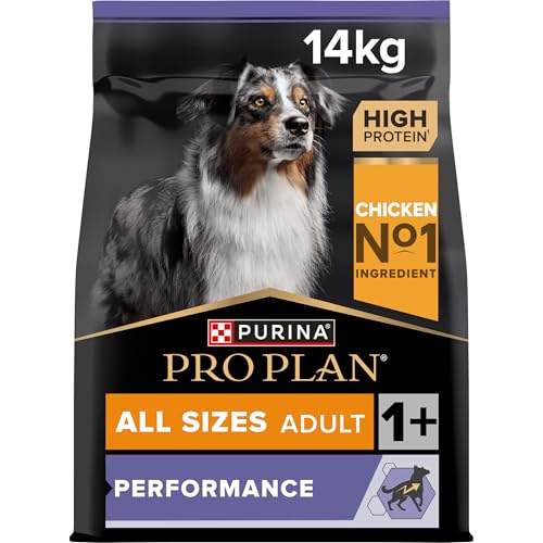 Pro Plan All Size Adult Hund Performance Hundefutter trocken reich an Huhn 1er Pack 1 x 14 kg