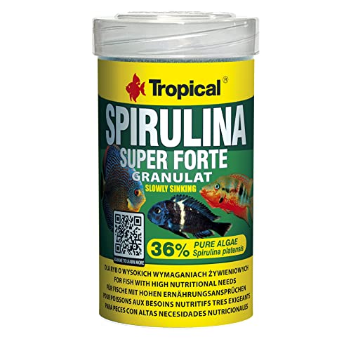 Tropical Super Spirulina Forte Granulatfutter mit 36% Spirulina Platensis Anteil 1er Pack 1 x 100 ml