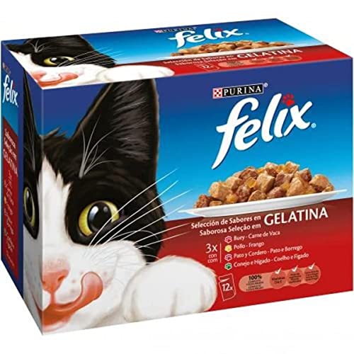 Felix Purina Gelatine Nassfutter für Erwachsene Katzen Verschiedene Fleischsorten 12 Beutel 85 g