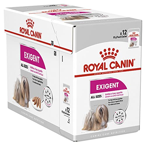 ROYAL CANIN Exigente Mousse 12 x 85 g Nassfutter für ausgewachsene Hunde ab dem 10. Lebensmonat Für wählerische Hunde Mit hochwertigen Proteinen