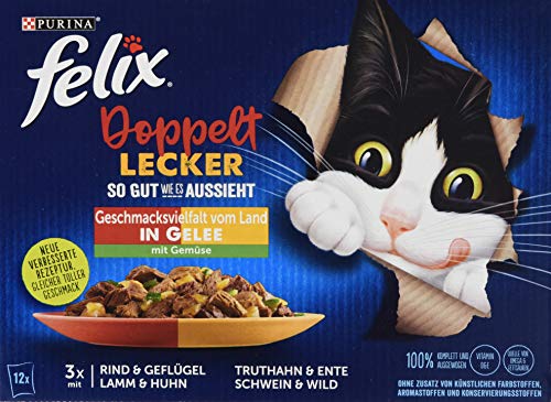 FELIX Katzennassfutter So gut wie es aussieht Doppelt Lecker in Gelee mit Rind und Geflügel 1er Pack 12 x 85 g Portionsbeutel