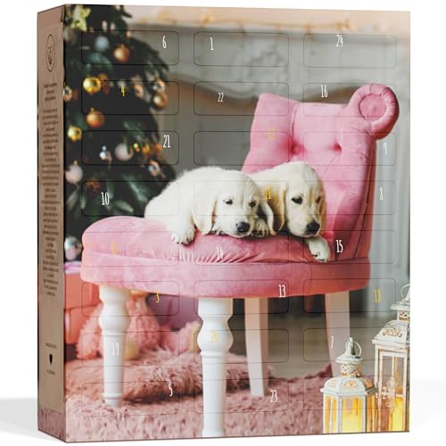 BOXILAND Hunde Adventskalender 2025 MIT 24 LECKERLIES Weihnachtskalender Geschenk Geschenkidee Hunde Hergestellt in DE