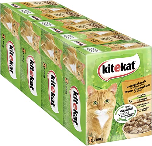 Kitekat Katzenfutter Nassfutter Landpicknick in Sauce 48 Portionsbeutel 4x x 85g