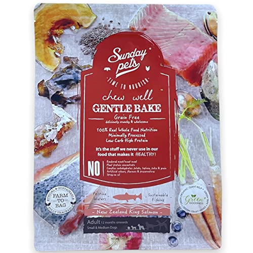 Gentle Bake King Salmon Dog 1 3kg
