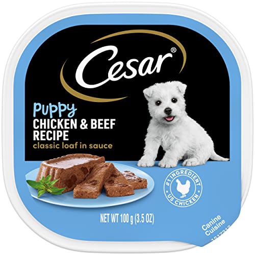  Puppy Hunde Cuisine Nassfutter Hund Tabletts