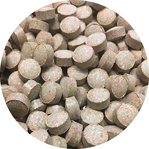 Futtertabletten Linsen Tabletten 8mm Braun Zierfischfutter Fischfutter Wels Tabs 500ml