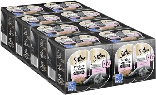 Sheba Perfect Portions Katzennassfutter Hochwertiges Feuchtfutter für Katzen in 48 Schalen Edle Pasteten mit Lachs MSC Katzenfutter 8er Pack 8 x 6 Schalen 37 5g