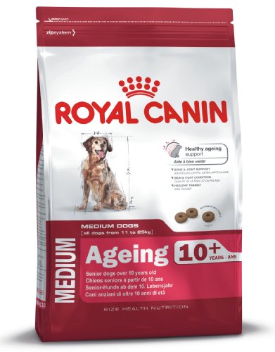 Royal Canin Size Medium Ageing 10 1er Pack 1 x 15 kg