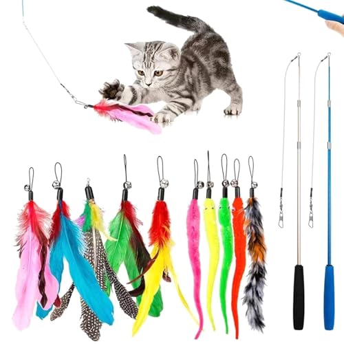 12 Stück Katzenspielzeug Feder Katzenangel mit 2 STK Versenkbare 10 Katzen Spielzeug Ersatzfedern Katzenspielzeug Selbstbeschäftigung mit Feder Bug Fisch Glocke Interaktives Katzenspielzeug