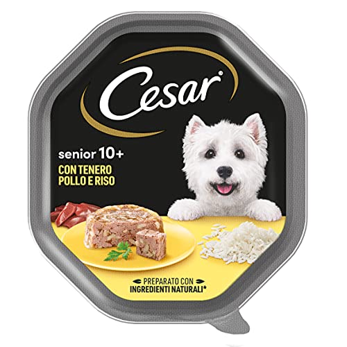 Cesar Senior 10 Hundefutter mit sÃ¼ÃŸem Huhn und Reis 150 g 14 Schalen
