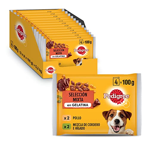 PEDIGREE Pouch Chicken Lamb in Jelly - Wet Food for Adult Dogs - 13 multipacks of 4x100g Bags