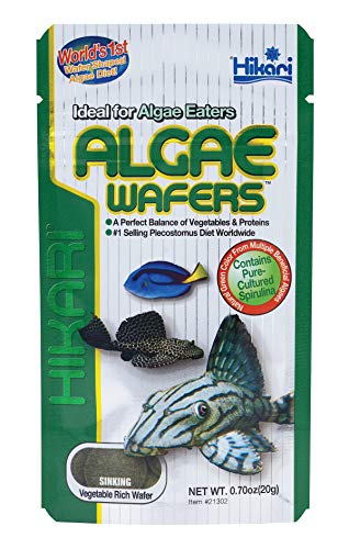 Hikari 48684 316 Sales Tropical Algae Wafers .70 Ounces - 21302