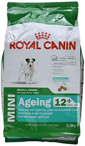 Royal Canin Hundefutter Mini Ageing 12 3 5 kg 1er Pack 1 x 3.5 kg