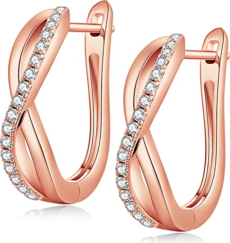 JIAHANZB Ohrringe Silber 925 Creole Creolen Rotgold 925 Groß Kreolen Silbern Silbrig Ohrring Set Hoop Earrings