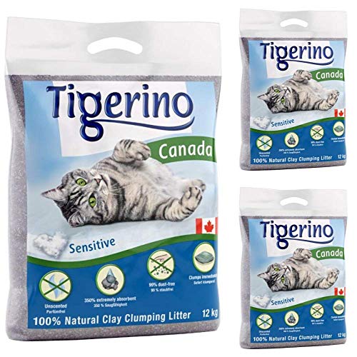 Tigerino Canada Katzenstreu mit Klumpen 36 kg geruchlos antibakteriell Einweg- und hypoallergen mit Geruchskontrolle Formelfrei 4 5 cm natürlicher Katzenminze-Ball