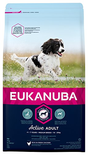 Eukanuba Premium Hundefutter für mittelgroße Hunde Trockenfutter mit Huhn 1 x 3 kg