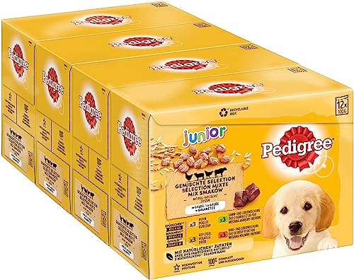 Pedigree Junior Hundenassfutter Vital Protection für Welpen 48 Portionsbeutel 12x100g 4er Pack Hundefutter nass in 4 Varietäten in Gelee mit Huhn Rind Geflügel Lamm