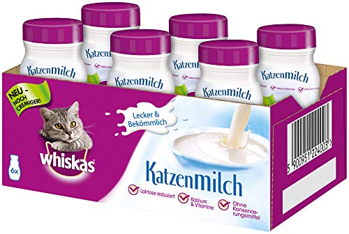 Whiskas ab 6 Wochen Leckerer Snack eine glückliche Katze Laktosefrei und leicht verdaulich Vorratspack mit 6 Flaschen 200ml