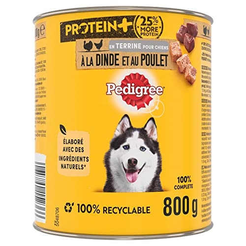 PEDIGREE Dose Protein in Pastete mit Truthahn und Huhn 12 x 800g