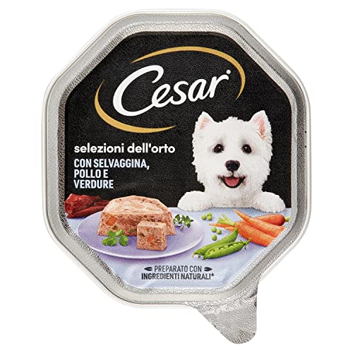  Selektion des zarten Gemüsegartens Pastete Huhn Wild Gemüse für g