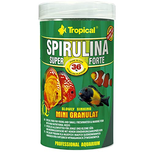Tropical Super Spirulina Forte Mini-Granulatfutter mit 36% Spirulina Platensis Anteil 1er Pack 1 x 250 ml
