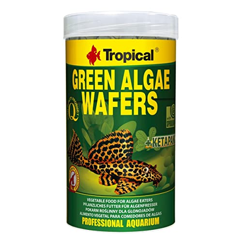 Tropical Green Algae Wafers Welschips 1er Pack 1 x 250 ml