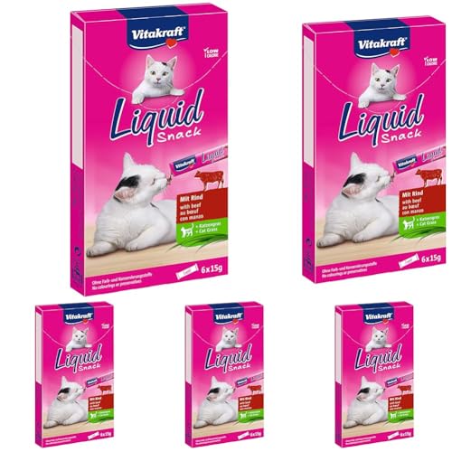 Vitakraft Liquid Snack Katzensnack flüssig Katzenleckerli mit Rind und Katzengras zur Unterstützung der gesunden Darmflora kalorienarm 1 Paket mit 6X 15g Packung mit 5