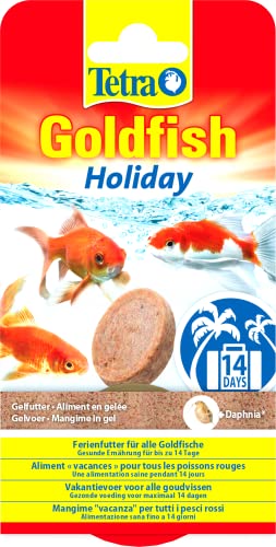 Tetra Goldfish Holiday - Ferienfutter für alle Goldfische gesunde Ernährung für bis zu 14 Tage 2 X 12 g Gelfutterblock