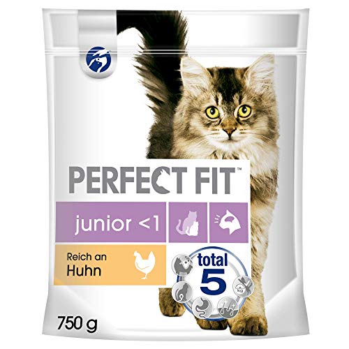 Perfect Fit Katzenfutter Trockenfutter Junior 1 Kitten Kätzchen Reich an Huhn 1 Beutel 1 x 750g