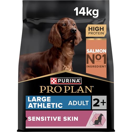  Large Athletic Lachs 1x 14