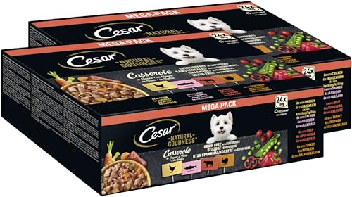 CESAR Natural Goodness Schale Multipack Casserole in Sauce mit Superfoods 4 Varietäten 2 x 24 x 100g