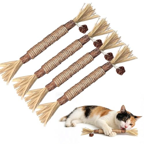 LACHT Katzenminze Sticks 4 Stück Kausticks Mit Ball Katzenminze Spielzeug Katzen Kauhölzer Sticks Für Katzen Zahnpflege Gegen Mundgeruch Natürlich Sicher Katzensticks Kausticks Set