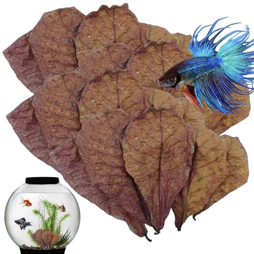 Mandel-Aquariumblätter 6 3 9 8 Zoll Betta Leaf Pack PH-Stabilisator Tank-Conditioner Wasserlebensraumpflege Für Fische Wels Schildkröten Frösche Biofilm-Booster Natürliche Unterst