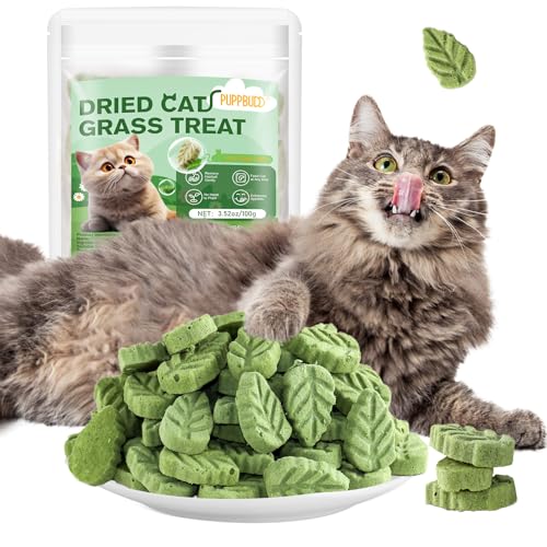 Katzengras Snacks Gefriergetrocknet Snacks für Katzen 100g Katzengras Fertig Gewachsen für die Zahnpflege Katzengrasstäbchen Haarknäuel