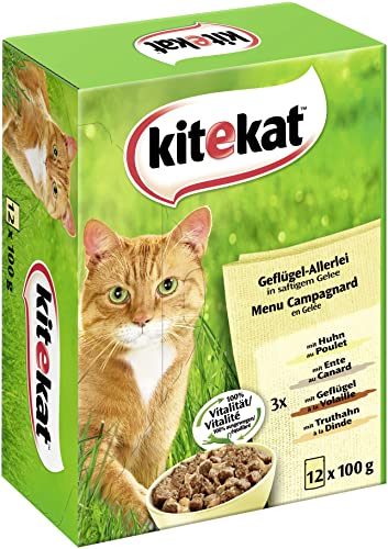 Kitekat Multipack 12x100g Geflügel-Allerlei in Gelee 1er Pack 1 x 1.2 kg