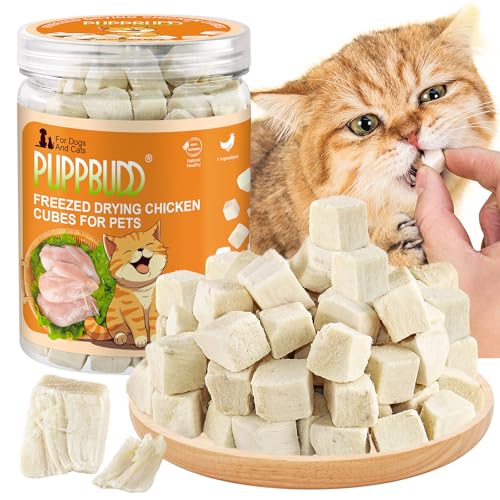 Gefriergetrocknete Snacks für Katzen und Hunde Knuspriger Katzensnack mit Huhn Katzen Leckerlies Freeze Dried Chicken Treats