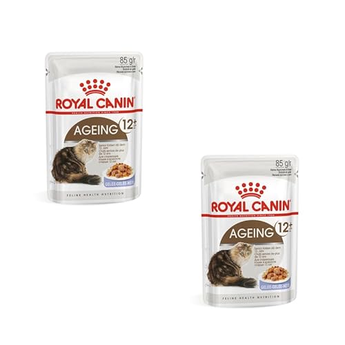 ROYAL CANIN Ageing 12 feine Stückchen in Gelee Doppelpack 2 x 12 x 85 g Feuchtnahrung für ältere Katzen Alleinfuttermittel für Senior Katzen ab dem 12. Lebensjahr
