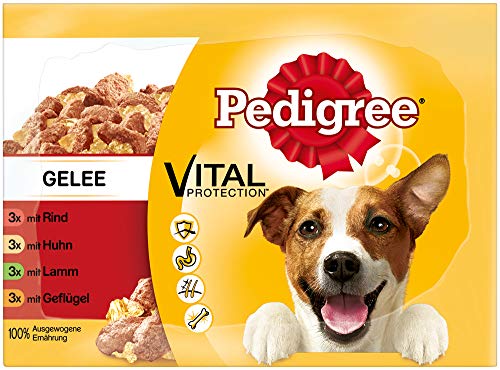 Pedigree Hundefutter Nassfutter Adult in Gelee 12 Portionsbeutel 12 x 100g