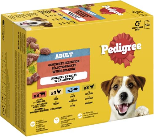 PEDIGREE DOGCARE Pouch Wet Mixed Chunks IN Jelly 100G Multipack Standard 12x100g