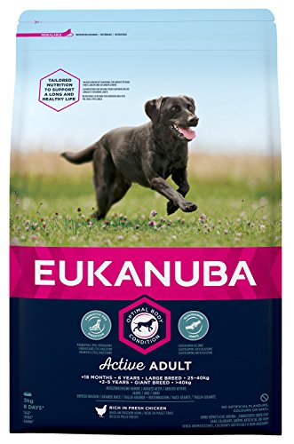 Eukanuba Premium Hundefutter für Hunde großer Rassen Trockenfutter mit Huhn 1 x 3 kg